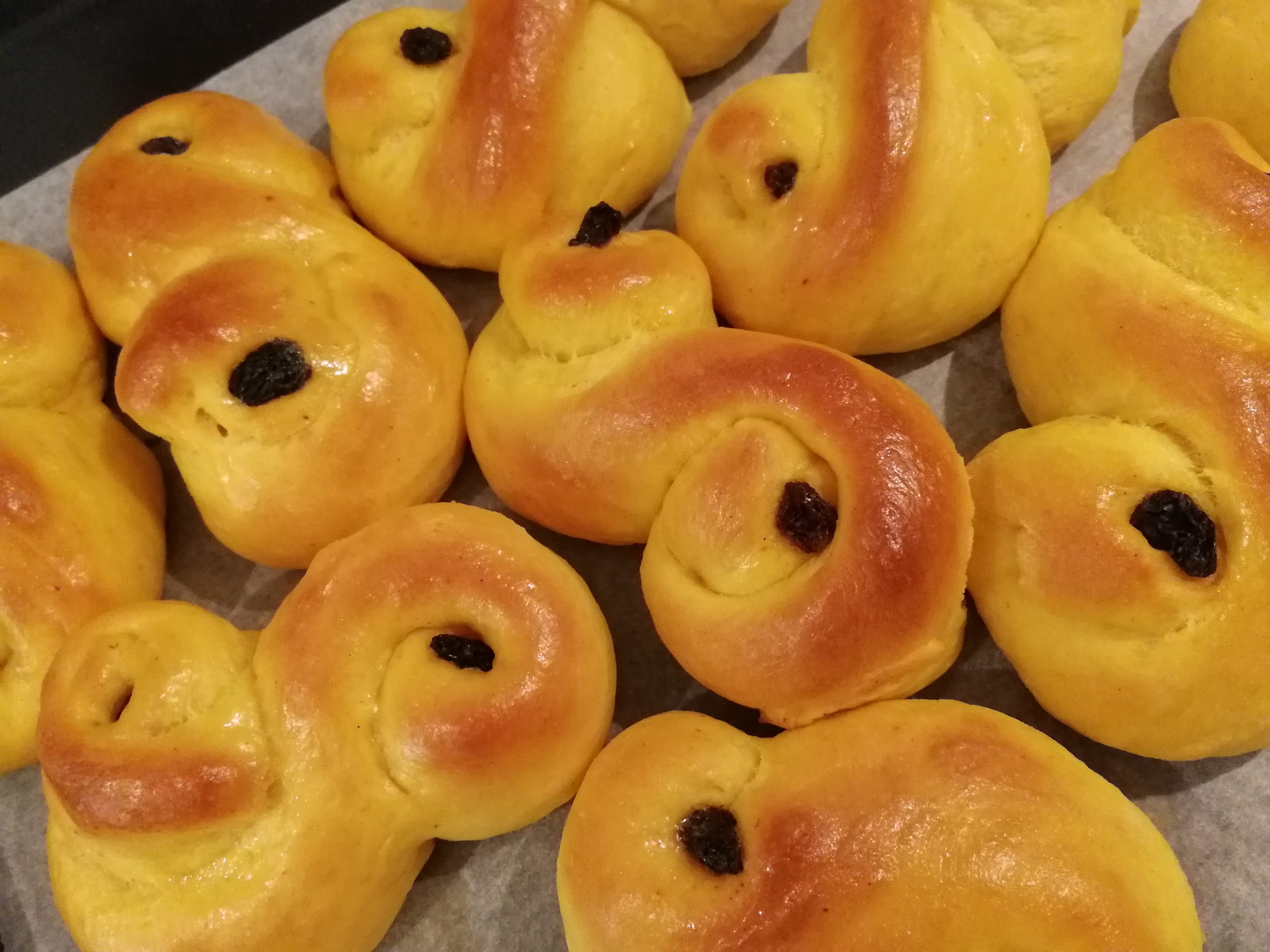 Lussekatter